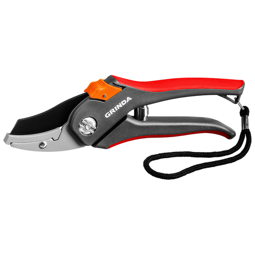    GRINDA 8-423203_z02 205,   779 