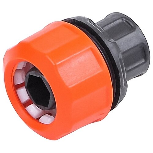 ���� ������ �������� ����� 3/4