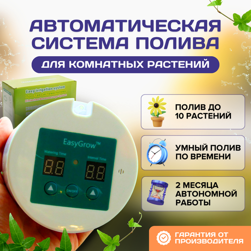 ���� ��������� ��� ��������� �������� �� 10 ��������� �� �������� � ������������ (��������), ��������� ����� ��� �������� ������, ������ �� 4960 ���