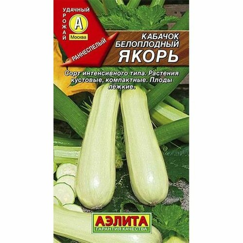 ���� ������ ������� ����� ����������� (�����������) (������) 2�, ������ �� 51 ���