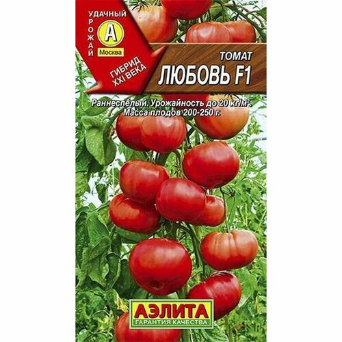 ���� ������ ����� ������ F1 , ������������, (������) 10��, ������ �� 73 ���