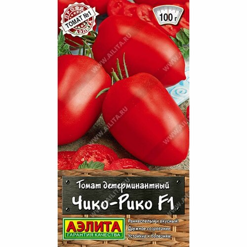 ���� ������ ����� ����-���� F1 , ������������, (������) 10�� �����-������, ������ �� 53 ���