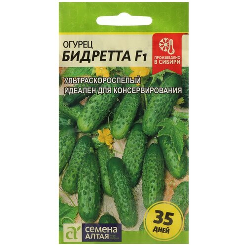 ���� ������ ������ 