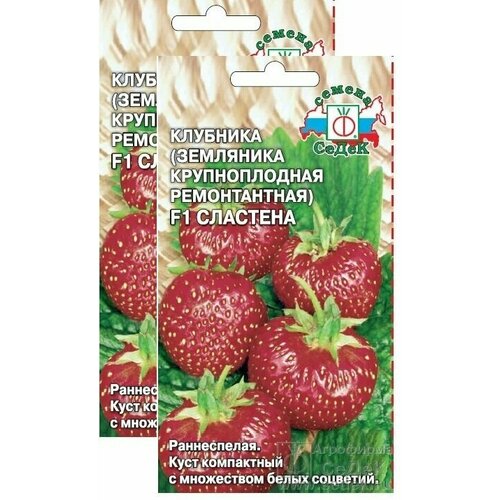 ���� ������ �������� ������������ �������� F1 15 �� (�����) (�����) , 2 �������� * 15 ��, ������ �� 279 ���