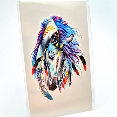 ���� ��������� ���������� ���������� �������� ��������, �����������, 1 ��. � ������, ���� 10.5�6��., ������ �� 365 ���