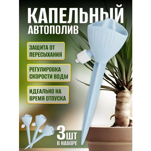 ���� ��������� ��������� ��� ��������� ��������, ������ �� 550 ���