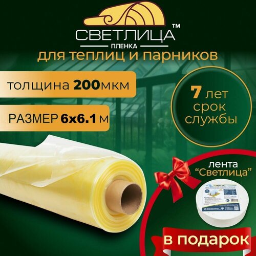        200  66,1  +  ,   7881 