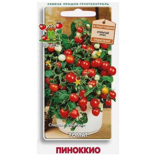 ���� ������ ����� ����� �������� 12 ��., ������ �� 66 ���