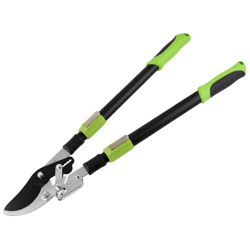 ���� ��������  ���������������� 0207 1010, ������ �� 3998 ���