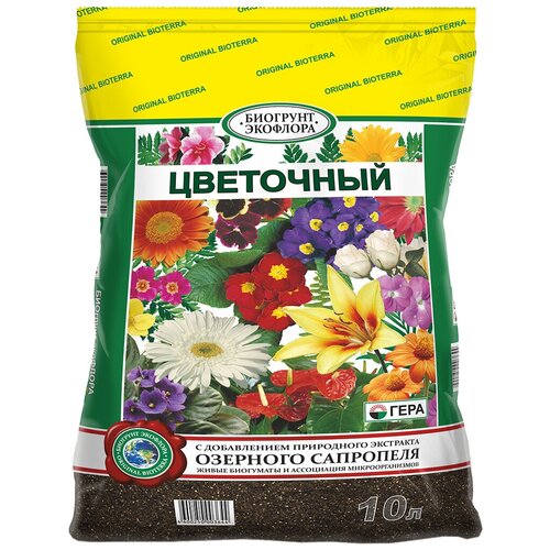 ���� �������� ���� ��������� ���e���, 10 �, 2.6 ��, ������ �� 431 ���