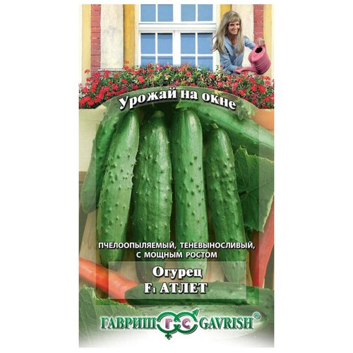 ���� ������ ������ ������ �� ���� ������ ����� F1 10 ��, ������ �� 62 ���