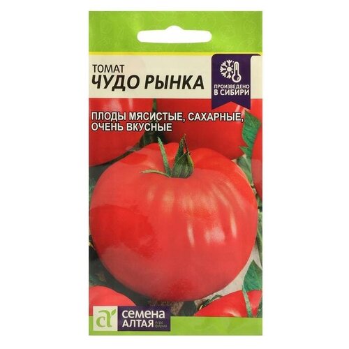 ���� ������ ����� 