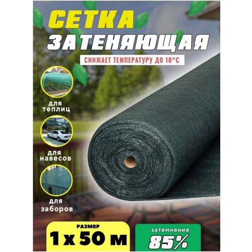 ���� ����� ���������� �������, ��������� 85%, ������ 1�50�, ������ �� 3504 ���