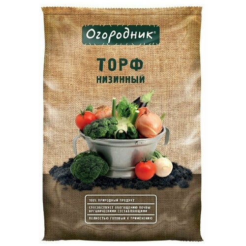 ���� ���� ��������� ��������, 9 �, ������ �� 390 ���