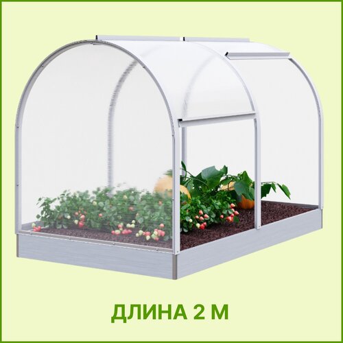 ���� ������ �������-���� � ������������� ������ 2 ����� �� ������, ������ �� 20795 ���