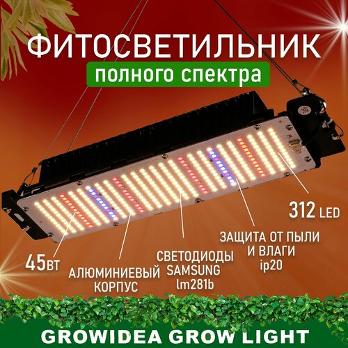       Led       ,   2484 