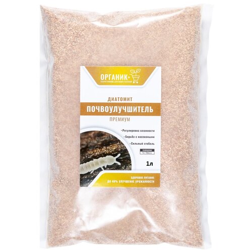 ���� ��������� �������� 1� ���������������, ������ �� 146 ���