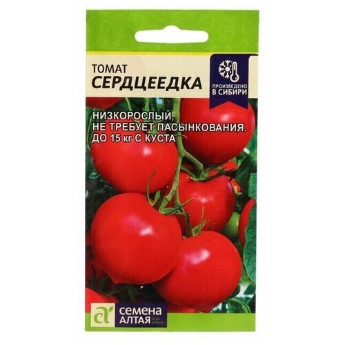 ���� ������ ������ 