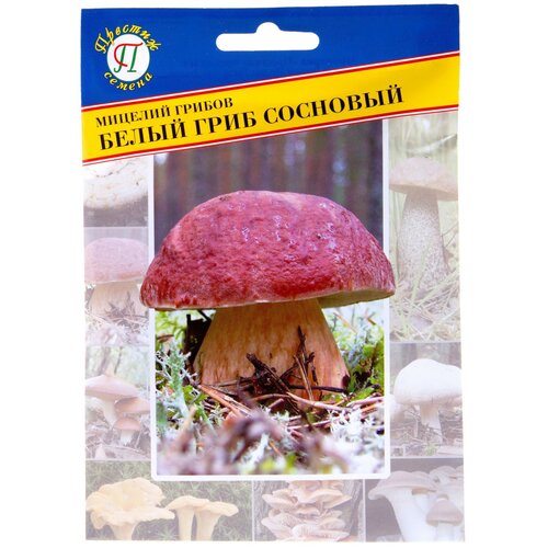 ���� ������� ������ ����� ���� �������� 50 ��, ������ �� 151 ���