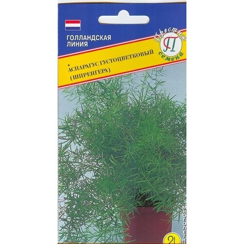 ���� ������ ���������� ��������������� (���������) (5 �����)., ������ �� 240 ���