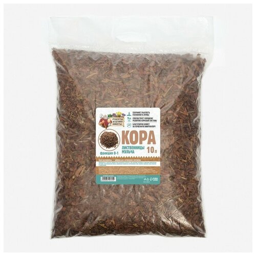 ���� ������ ����������� 