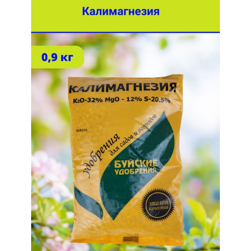 ���� ��������� 