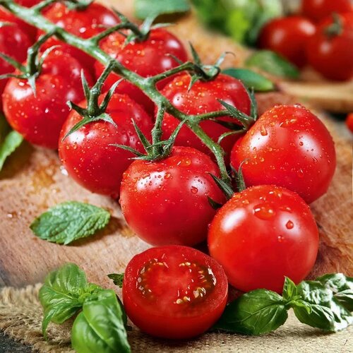 ���� ����� F1 ��������� ������� ������� 10 ���� ����� ������� ������, ������ �� 223 ���