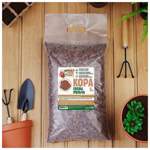 ���� ������ ���� ����� 