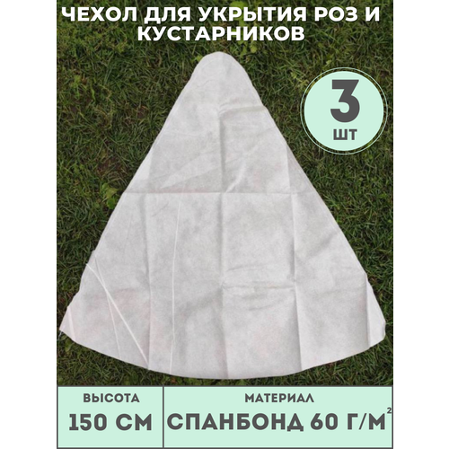 ���� ������ ����� (������ 150��) ��� ��� � ����������� (3 ��./����.) �� ��������� 60 �/�2, ��� �������, ������ �� 680 ���