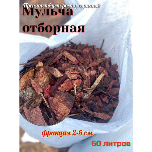 ���� ������ �� �������� ���� ������� ������� ����������, 60 �, 9 ��, ������ �� 1500 ���