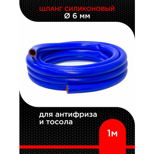    d 6  ( 1  )    ,   323 