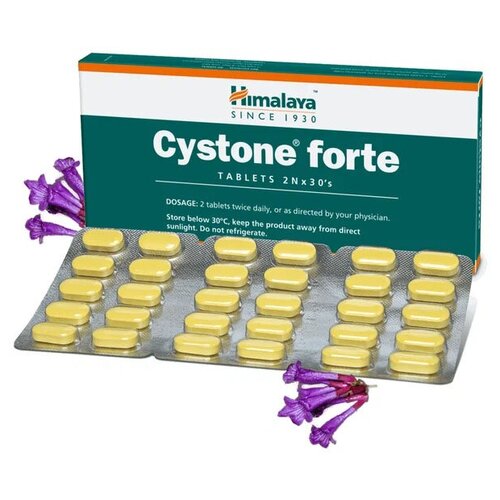     (Cystone Forte)    ,    , 60 .,   858 