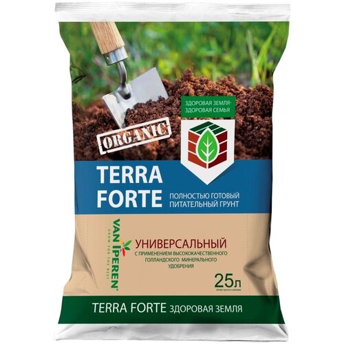    ,  Terra Forte,  , 25,   1540 