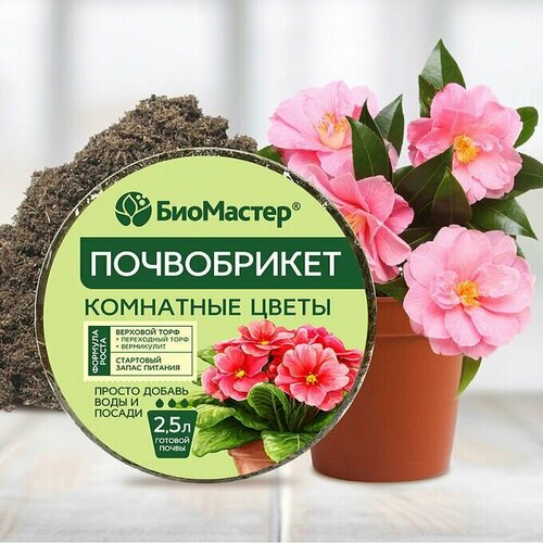 ���� ��������� ����������� ��� ��������� �������� 2.5 �, ������ �� 320 ���