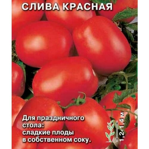 ���� ������ �������� ����� �������� ����� �������, ������ �� 47 ���