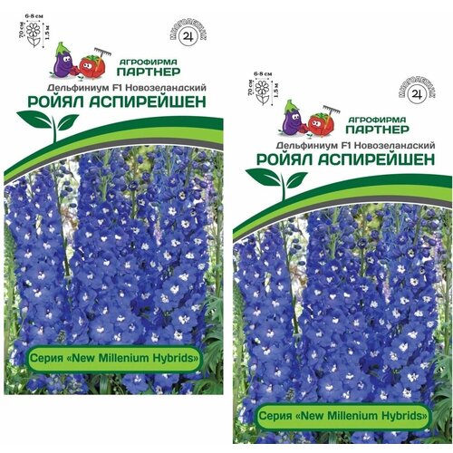      F1 / / 2 , 6 ,   510 