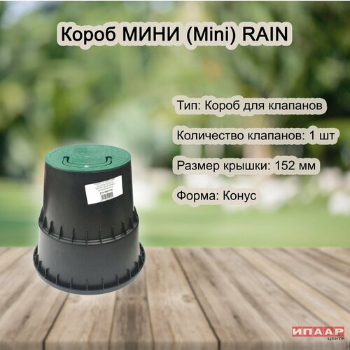      Rain SPA ()   -     , -, 