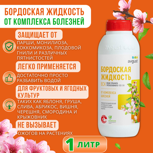 ���� ��������� �������� ������, 1 ���� ��� ������ �������� �� �������� � ���������, ������ �� 1961 ���