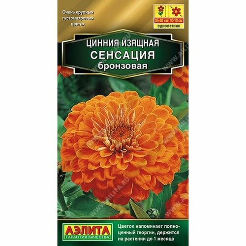 ���� ������ ������ �������� ��������� (����������) (������) 12�� Farao, ������ �� 55 ���