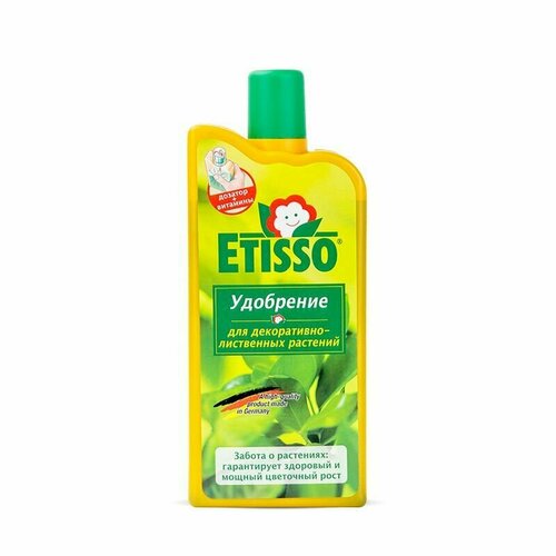 ���� ��������� ������ �������������� ��� ����� ��������� � ��������� ��������, 1 �. Etisso, ������ �� 1199 ���