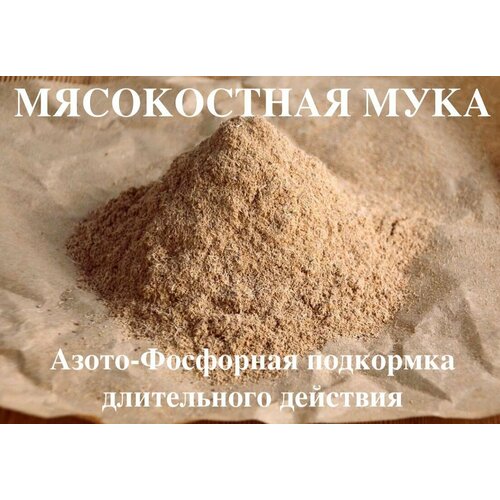 ���� ��������� ��� ��������� � ������� �������� ����������� ���� 10 ��, ������ �� 1149 ���