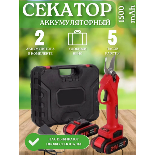 ���� ������ ������� ������� �������������� Wiekk 1 ���, ������������� �������� ��� ������� ��������, ������ �� 3500 ���