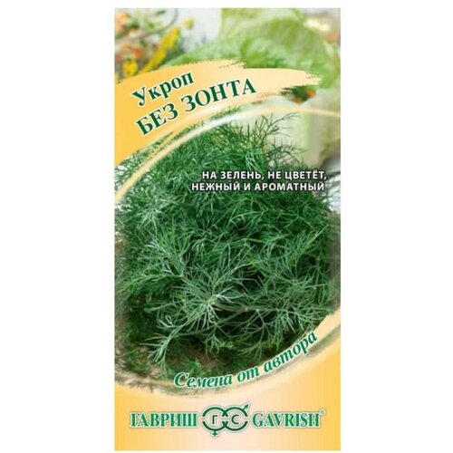 ���� ������. ����� 