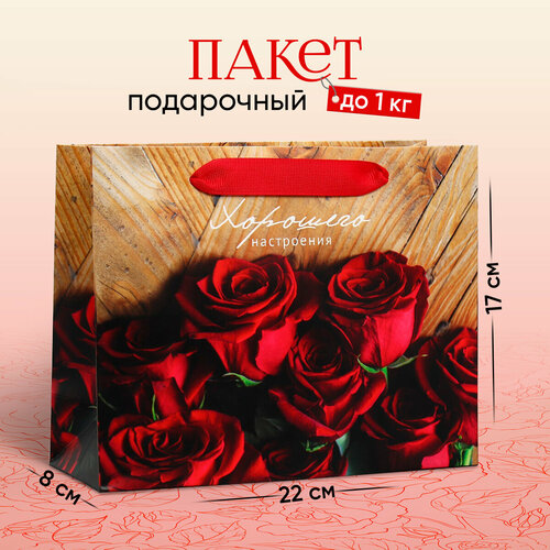 ���� ����� ���������� ��������� �����������, 22 ? 17.5 ? 8 ��, ������ �� 164 ���