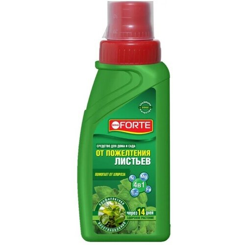 ���� �������� �� ���������� ������� ������ 4 � 1 Bona Forte, ������ 285 ��, ������ �� 329 ���