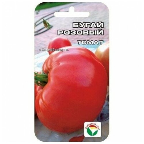 ���� ������ ����� 