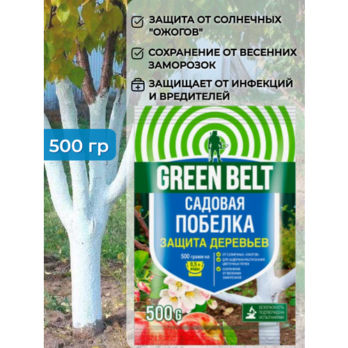 ���� ������� ������� Green Belt (���� ����) 500�� ������ ��� �������� �� �������� � ����������, ������ �� 278 ���
