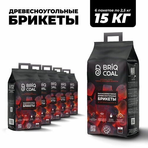 ���� 6 �������� BriqPACK �� 2.5 �� - ����������������� ���������������� ������� BRIQCOAL, ������ �� 3300 ���