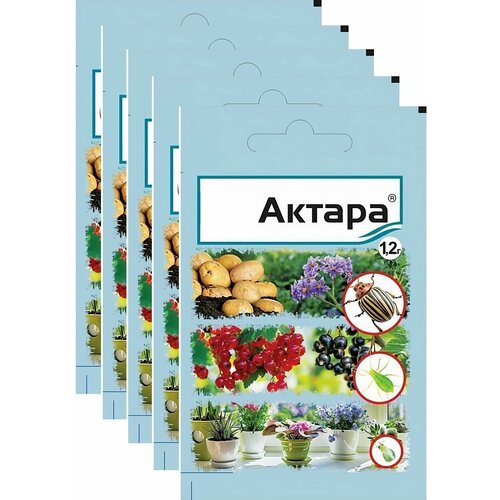 ���� �������� �� ������� ���������� 