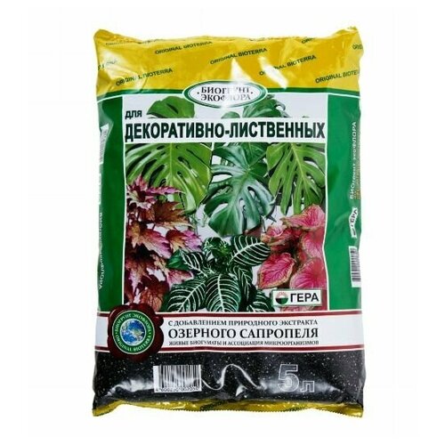 ���� ����� ��� �����������-���������� �������� 5 �, ������ �� 359 ���